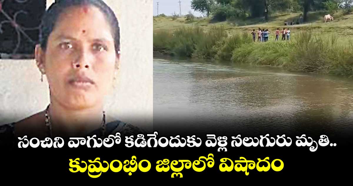 సంచిని వాగులో కడిగేందుకు వెళ్లి నలుగురు మృతి.. కుమ్రంభీం జిల్లాలో విషాదం