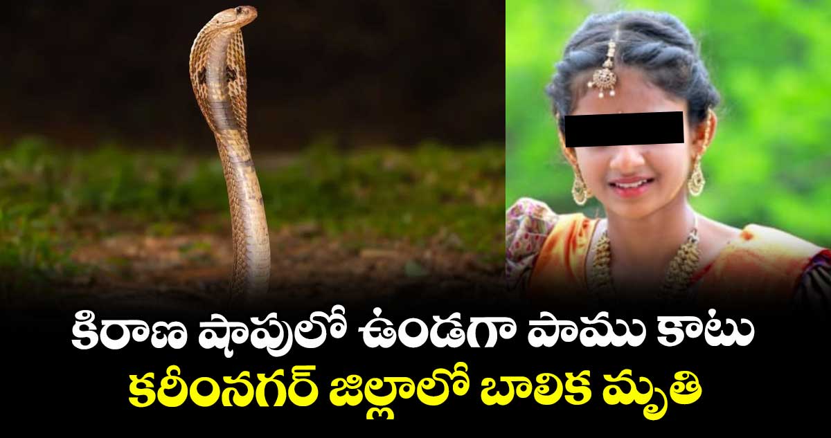 కిరాణ షాపులో ఉండగా పాము కాటు.. కరీంనగర్ జిల్లాలో బాలిక మృతి