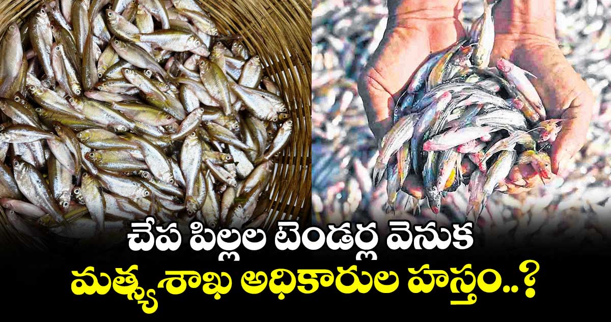 చేప పిల్లల టెండర్ల వెనుక మత్స్యశాఖ అధికారుల హస్తం..?