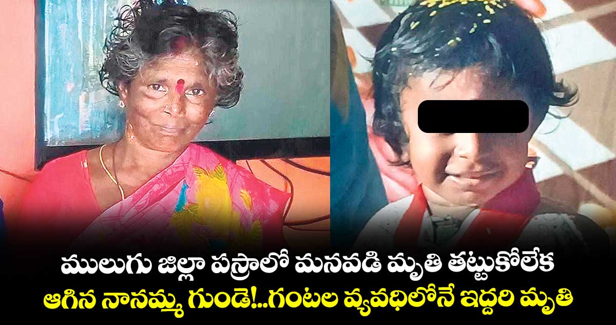 ములుగు జిల్లా పస్రాలో మనవడి మృతి తట్టుకోలేక..ఆగిన నానమ్మ గుండె!..గంటల వ్యవధిలోనే ఇద్దరి మృతి