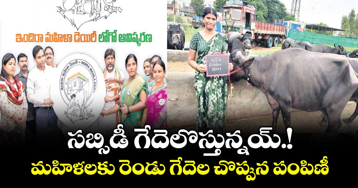 సబ్సిడీ గేదెలొస్తున్నయ్.! మహిళలకు రెండు గేదెల చొప్పున పంపిణీ 