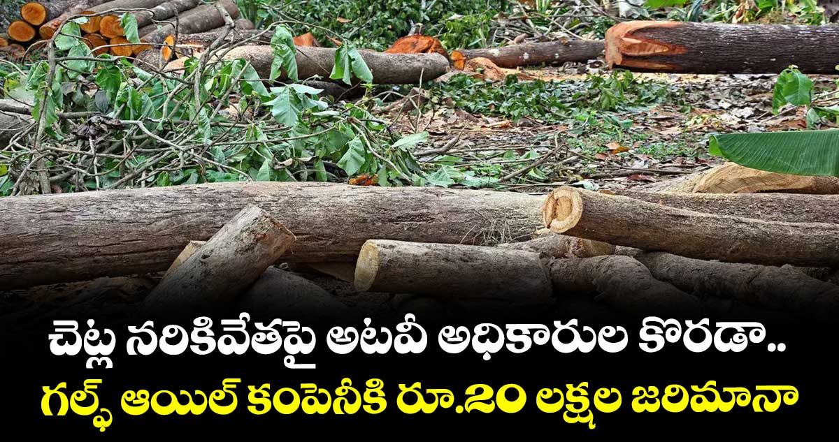 చెట్ల నరికివేతపై అటవీ అధికారుల కొరడా.. గల్ఫ్ ఆయిల్ కంపెనీకి రూ.20 లక్షల జరిమానా 