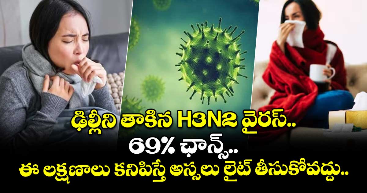 ఢిల్లీని తాకిన H3N2 వైరస్.. 69% ఛాన్స్.. ఈ లక్షణాలు  కనిపిస్తే అస్సలు లైట్ తీసుకోవద్దు..  