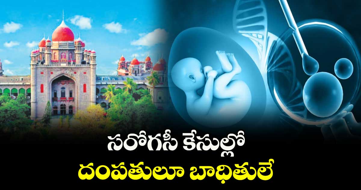 సరోగసీ కేసుల్లో దంపతులూ బాధితులే : హైకోర్టు
