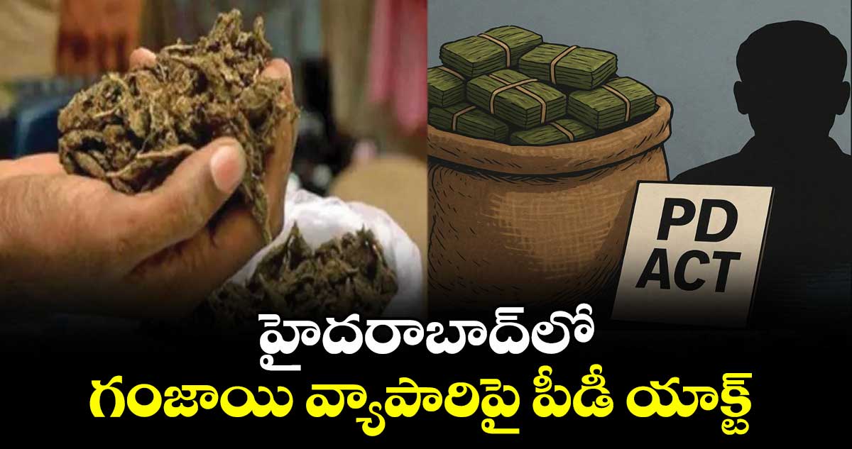 హైదరాబాద్‌‌లో  గంజాయి వ్యాపారిపై పీడీ యాక్ట్
