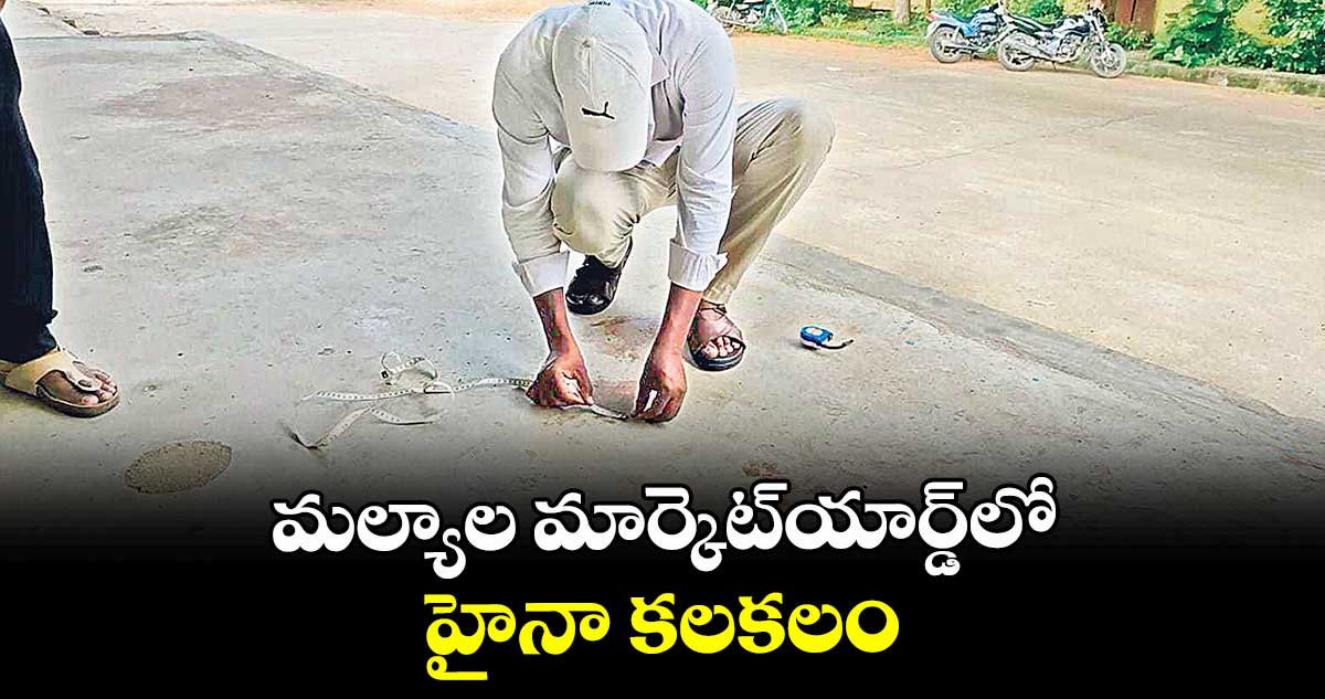 మల్యాల మార్కెట్యార్డ్లో హైనా కలకలం
