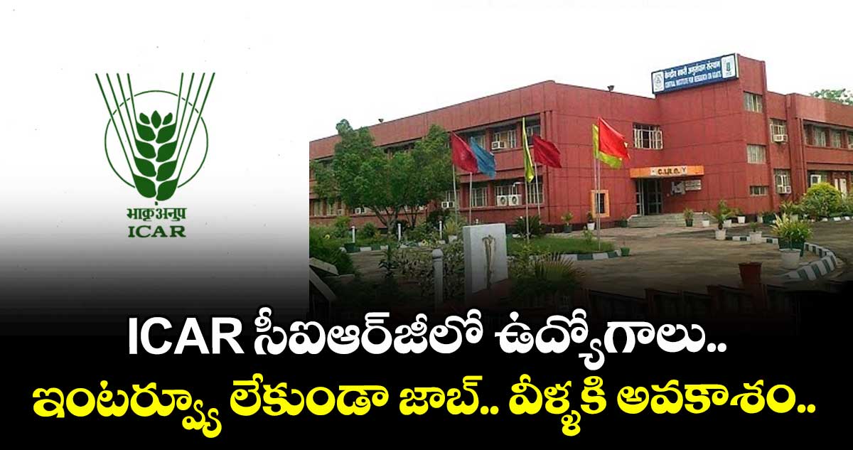ICAR సీఐఆర్జీలో ఉద్యోగాలు.. ఇంటర్వ్యూ లేకుండా జాబ్.. వీళ్ళకి అవకాశం..    
