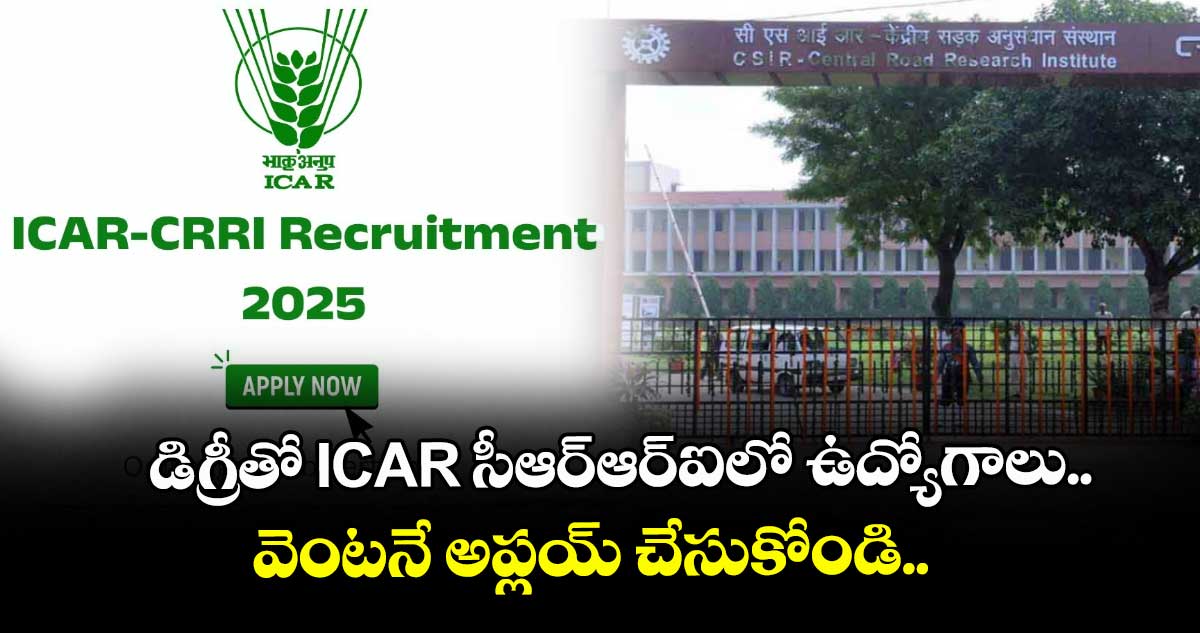డిగ్రీతో ICAR సీఆర్ఆర్ఐలో ఉద్యోగాలు.. వెంటనే అప్లయ్ చేసుకోండి.. 
