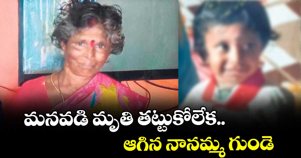 మనవడి మృతి తట్టుకోలేక..ఆగిన నానమ్మ గుండె