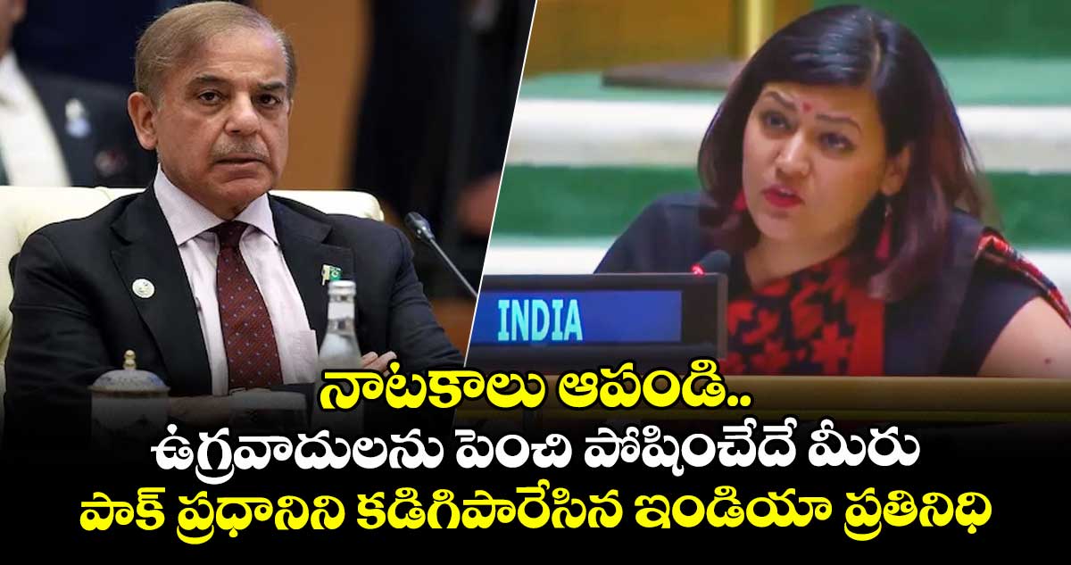 నాటకాలు ఆపండి.. ఉగ్రవాదులను పెంచి పోషించేదే మీరు: పాక్ ప్రధానిని కడిగిపారేసిన ఇండియా ప్రతినిధి