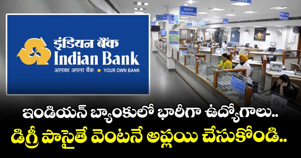  ఇండియన్ బ్యాంకులో భారీగా ఉద్యోగాలు.. డిగ్రీ పాసైతే వెంటనే అప్లయి చేసుకోండి..  
