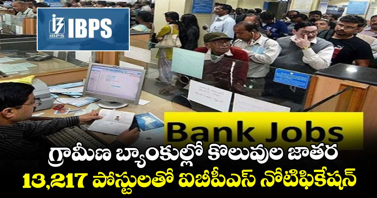 గ్రామీణ బ్యాంకుల్లో కొలువుల జాతర.. 13,217 పోస్టులతో ఐబీపీఎస్ నోటిఫికేషన్..