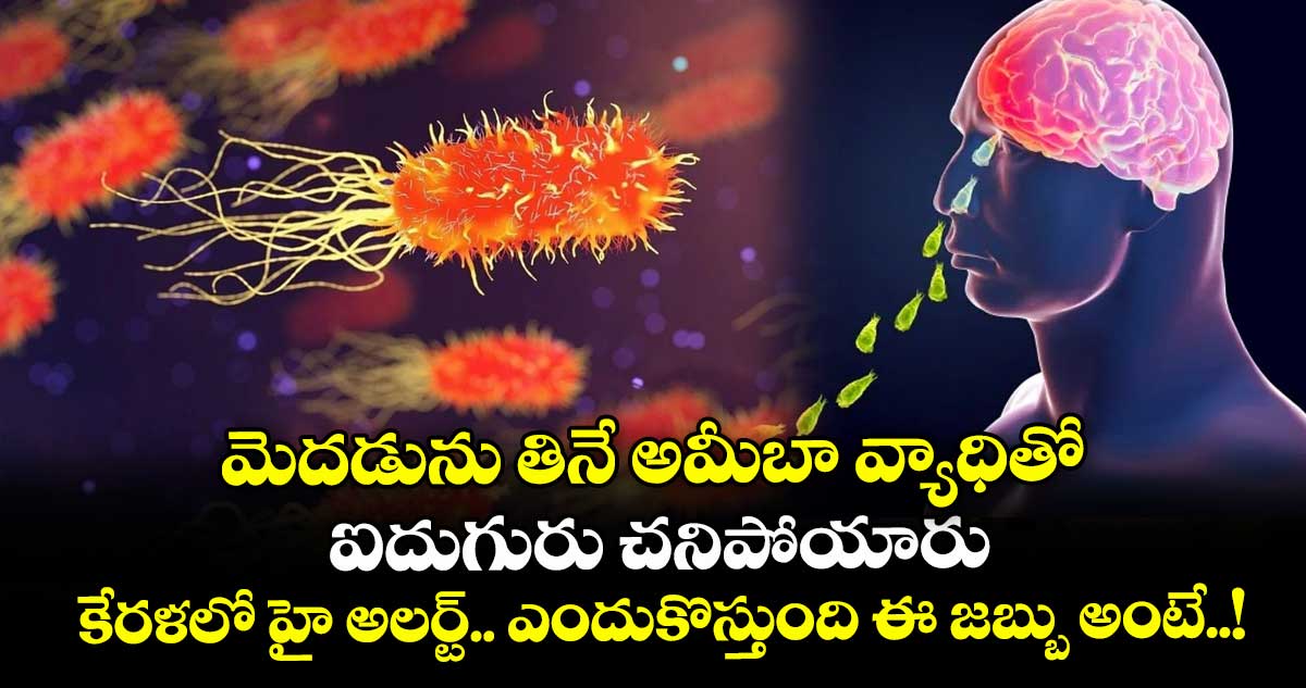 మెదడును తినే అమీబా వ్యాధితో ఐదుగురు చనిపోయారు : కేరళలో హై అలర్ట్.. ఎందుకొస్తుంది ఈ జబ్బు అంటే..!
