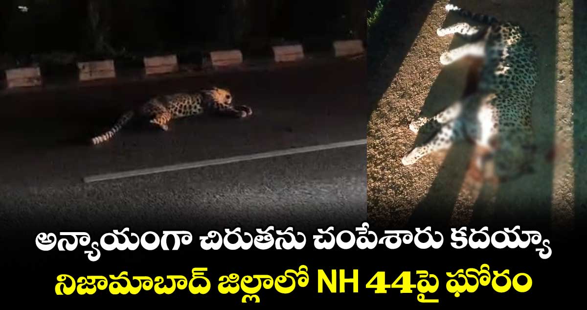 అన్యాయంగా చిరుతను చంపేశారు కదయ్యా.. నిజామాబాద్ జిల్లాలో NH 44పై ఘోరం