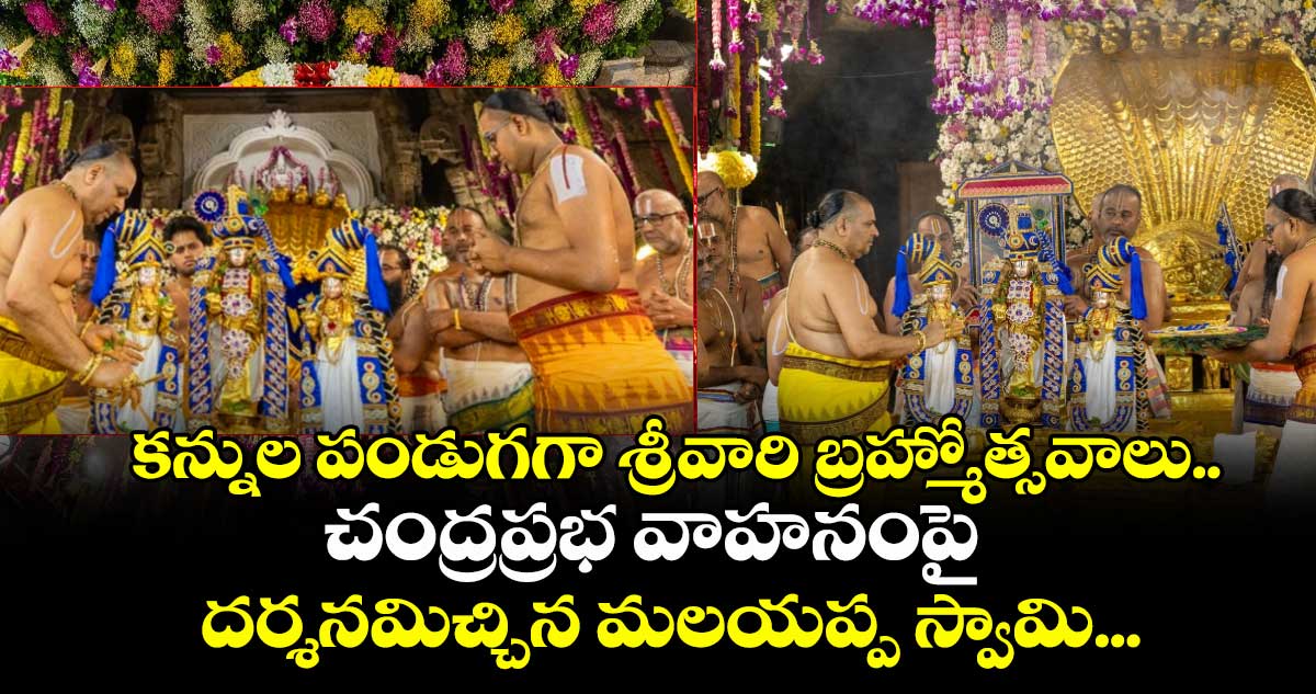కన్నుల పండుగగా శ్రీవారి బ్రహ్మోత్సవాలు.. చంద్రప్రభ వాహనంపై దర్శనమిచ్చిన మలయప్ప స్వామి...