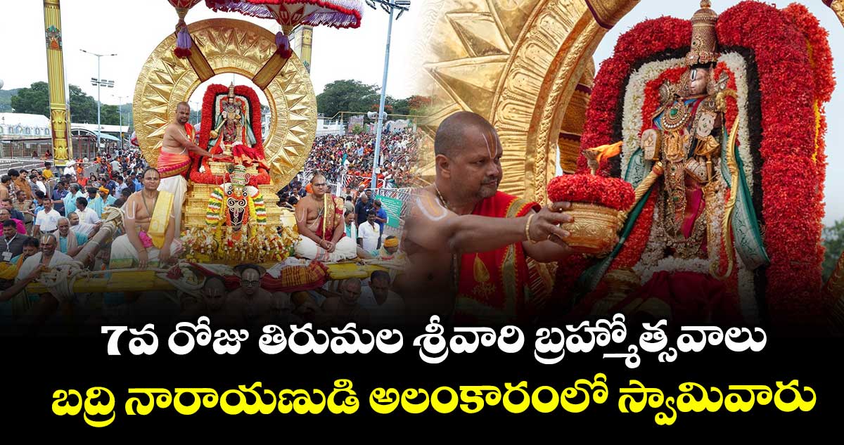 7వ రోజు తిరుమల శ్రీవారి బ్రహ్మోత్సవాలు... బద్రి నారాయణుడి అలంకారంలో స్వామివారు..
