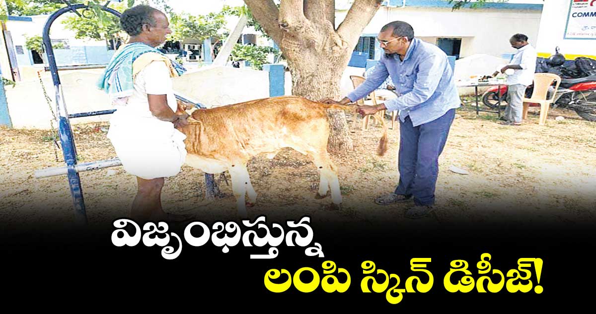 విజృంభిస్తున్న లంపి స్కిన్ డిసీజ్!