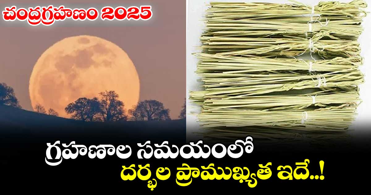 చంద్రగ్రహణం 2025: గ్రహణాల సమయంలో దర్భల ప్రాముఖ్యత ఇదే..!