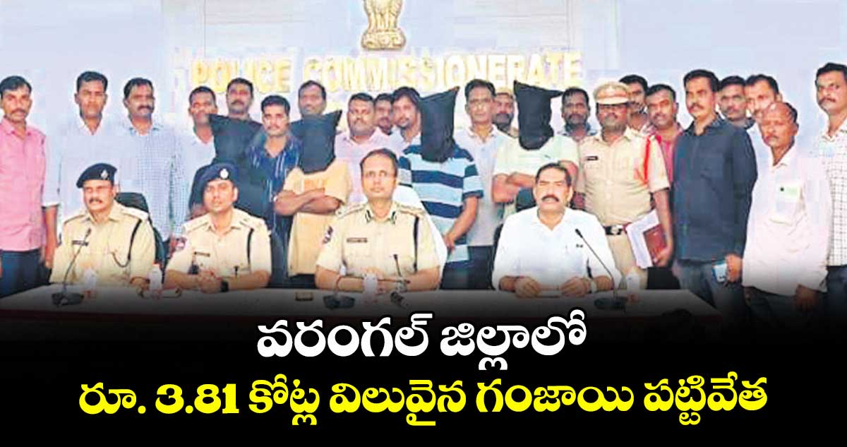 వరంగల్ జిల్లాలో రూ. 3.81 కోట్ల విలువైన గంజాయి పట్టివేత