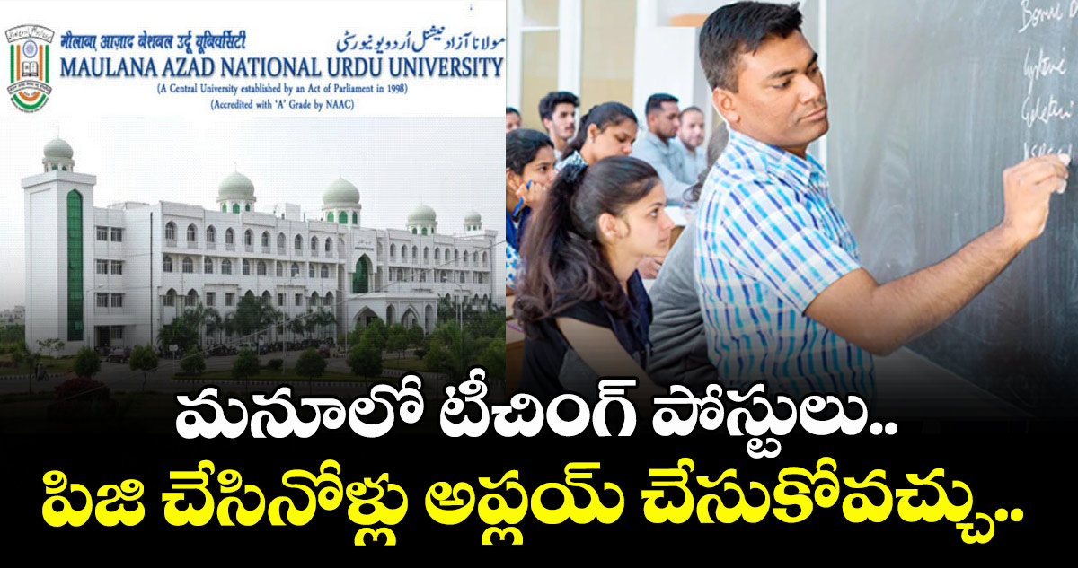 మనూలో టీచింగ్ పోస్టులు.. పిజి చేసినోళ్లు అప్లయ్ చేసుకోవచ్చు.. 