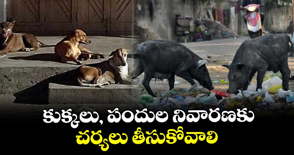 కుక్కలు, పందుల నివారణకు చర్యలు తీసుకోవాలి