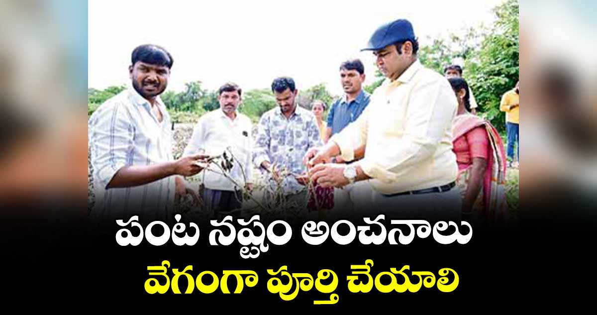 పంట నష్టం అంచనాలు వేగంగా పూర్తి చేయాలి : కలెక్టర్ రాహుల్ రాజ్