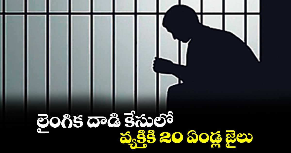 లైంగిక దాడి కేసులో వ్యక్తికి 20 ఏండ్ల జైలు
