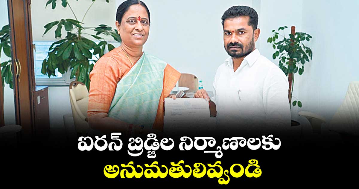 ఐరన్ బ్రిడ్జిల నిర్మాణాలకు అనుమతులివ్వండి