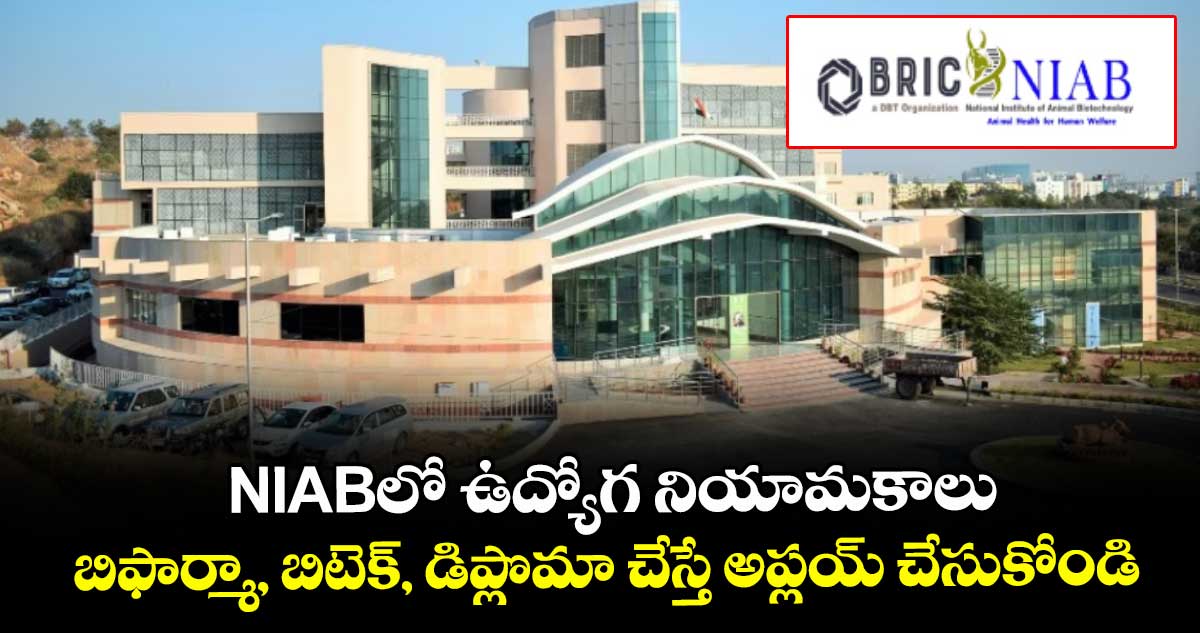  NIABలో ఉద్యోగ నియామకాలు.. బిఫార్మా, బిటెక్, డిప్లొమా చేస్తే అప్లయ్ చేసుకోండి..