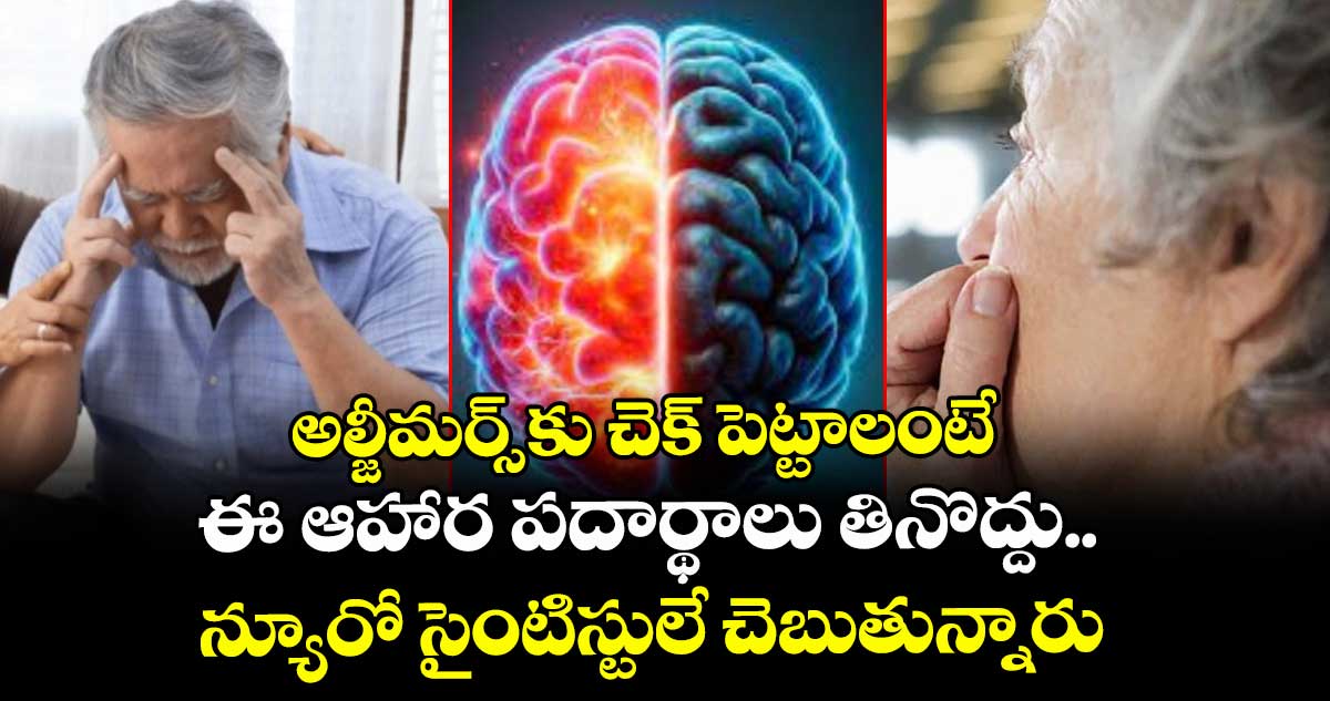 అల్జీమర్స్ కు చెక్ పెట్టాలంటే..ఈ ఆహార పదార్థాలు తినొద్దు.. న్యూరో సైంటిస్టులే చెబుతున్నారు