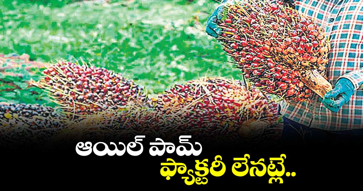 నిర్మల్ జిల్లాలో ఆయిల్ పామ్ ఫ్యాక్టరీ లేనట్లే..