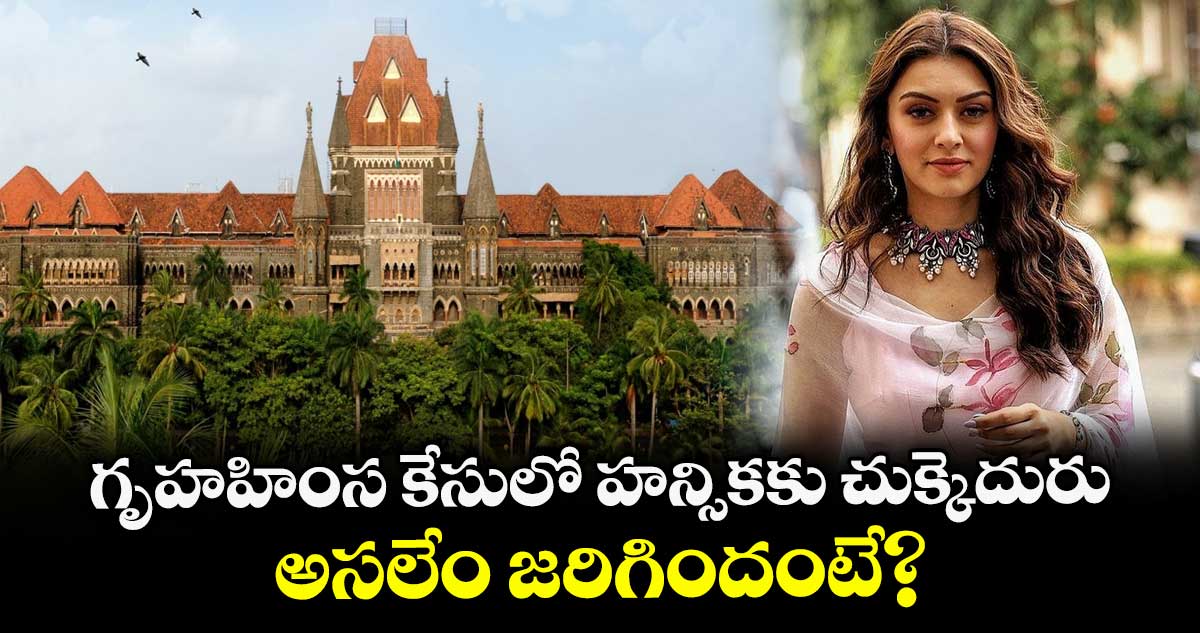 Hansika Motwani: గృహహింస కేసులో హన్సికకు చుక్కెదురు.. అసలేం జరిగిందంటే?