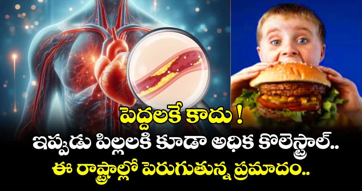  పెద్దలకే కాదు ! ఇప్పుడు పిల్లలకి కూడా అధిక కొలెస్ట్రాల్.. ఈ రాష్ట్రాల్లో పెరుగుతున్న ప్రమాదం.. 