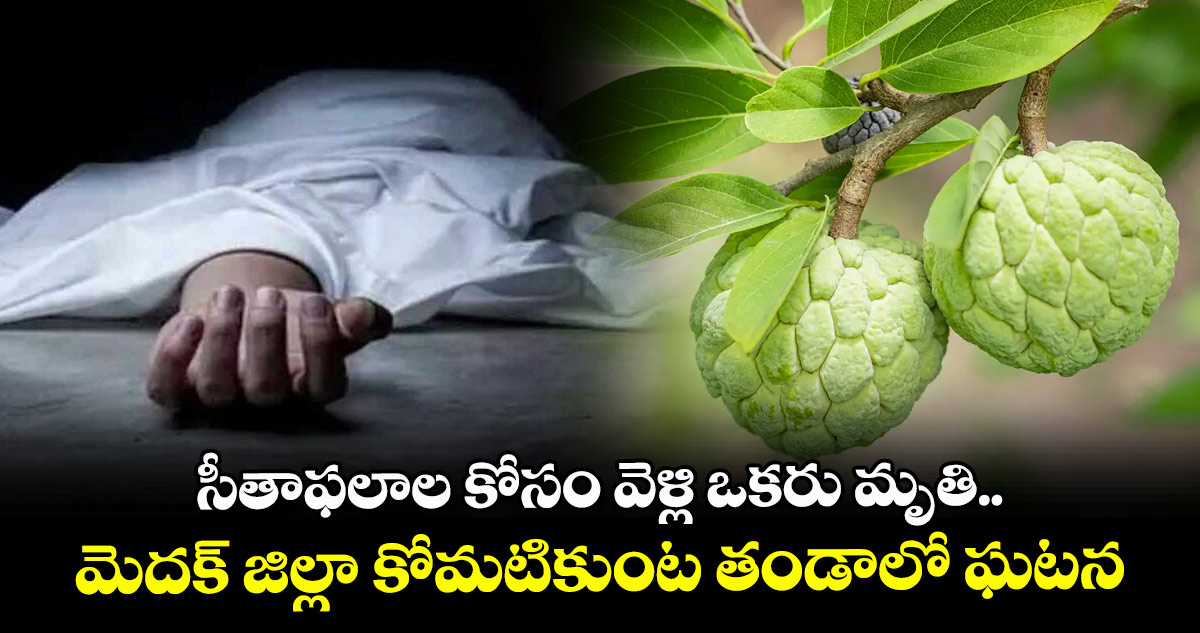 సీతాఫలాల కోసం వెళ్లి ఒకరు మృతి.. మెదక్ జిల్లా కోమటికుంట తండాలో ఘటన