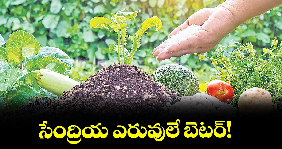 సేంద్రియ ఎరువులే బెటర్!