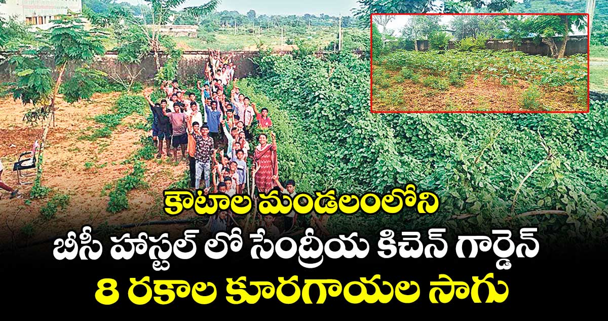  కౌటాల మండలంలోని బీసీ హాస్టల్ లో సేంద్రీయ కిచెన్ గార్డెన్..8 రకాల కూరగాయల సాగు 