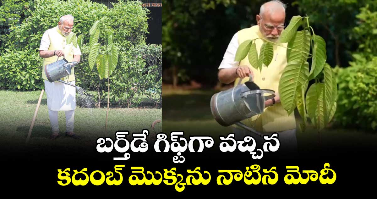బర్త్డే గిఫ్ట్గా వచ్చిన కదంబ్ మొక్కను నాటిన మోదీ