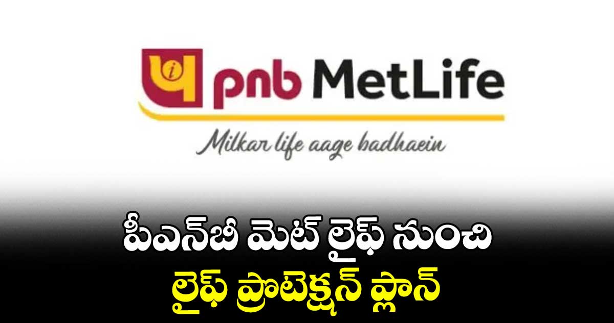 పీఎన్‌‌‌‌‌‌‌‌బీ మెట్‌‌‌‌‌‌‌‌ లైఫ్ నుంచి లైఫ్ ప్రొటెక్షన్ ప్లాన్