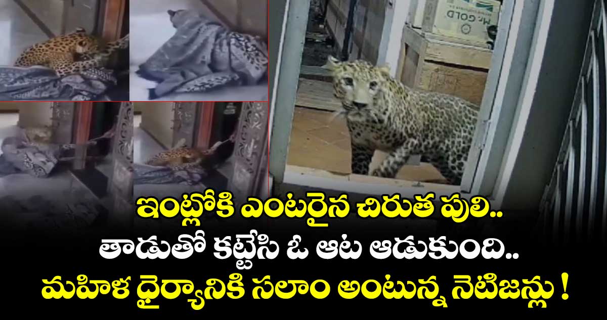 ఇంట్లోకి ఎంటరైన చిరుత పులి.. తాడుతో కట్టేసి ఓ ఆట ఆడుకుంది.. మహిళ ధైర్యానికి సలాం అంటున్న నెటిజన్లు !
