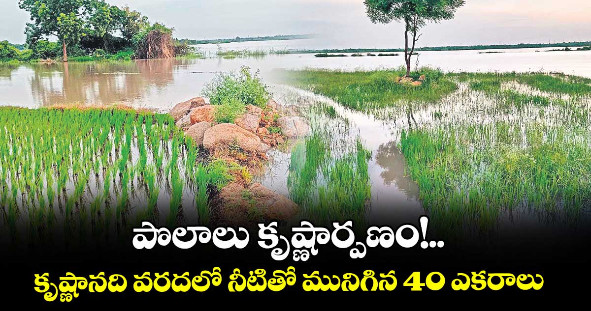 పొలాలు కృష్ణార్పణం!..  కృష్ణానది వరదలో నీటితో మునిగిన 40 ఎకరాలు 