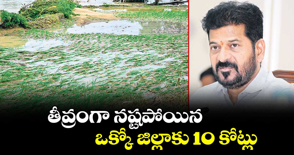 తీవ్రంగా నష్టపోయిన ఒక్కో జిల్లాకు 10 కోట్లు : సీఎం రేవంత్