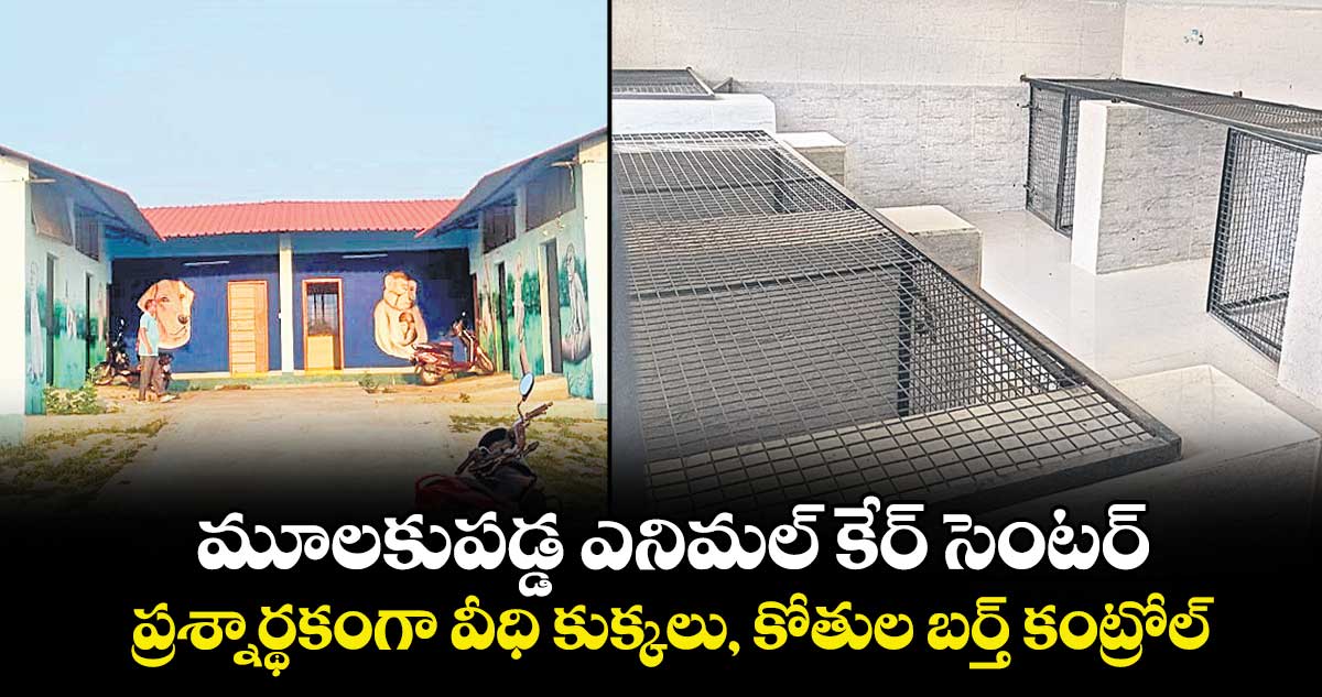 మూలకుపడ్డ ఎనిమల్‌‌‌‌‌‌‌‌‌‌‌‌‌‌‌‌ కేర్‌‌‌‌‌‌‌‌‌‌‌‌‌‌‌‌ సెంటర్‌‌‌‌‌‌‌‌‌‌‌‌‌‌‌‌.. ప్రశ్నార్థకంగా వీధి కుక్కలు, కోతుల బర్త్ కంట్రోల్