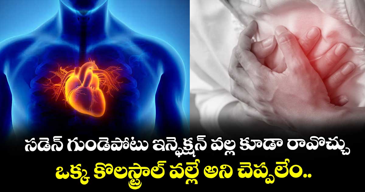 Health Alert : సడెన్ గుండెపోటు ఇన్ఫెక్షన్ వల్ల కూడా రావొచ్చు.. ఒక్క కొలస్ట్రాల్ వల్లే అని చెప్పలేం..!