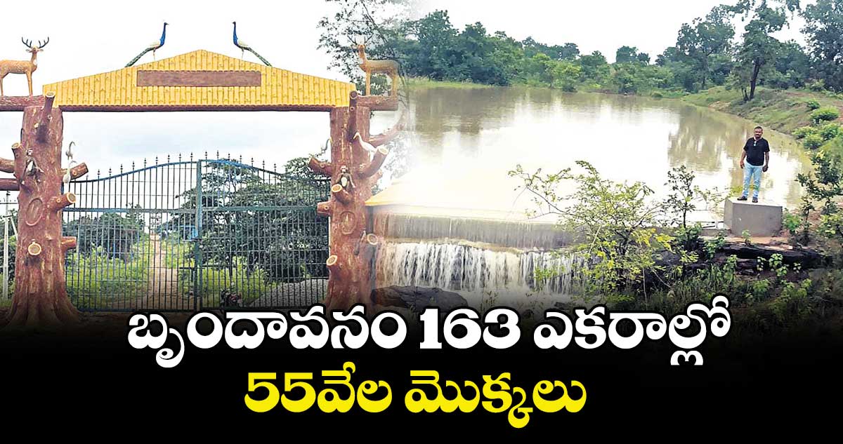 బృందావనం 163 ఎకరాల్లో 55వేల మొక్కలు 