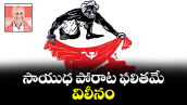 సాయుధ పోరాట ఫలితమే విలీనం