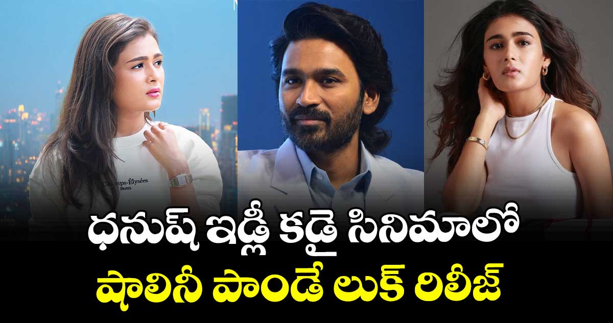 ధనుష్‌‌ ఇడ్లీ కడై సినిమాలో షాలినీ పాండే లుక్ రిలీజ్ 