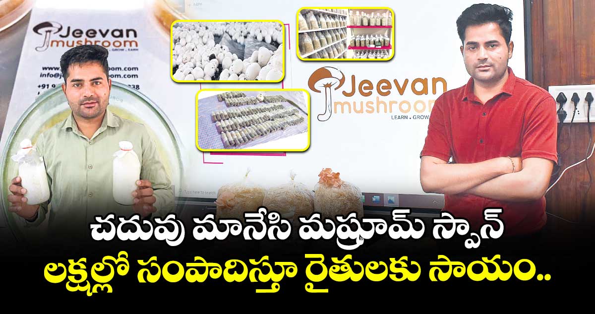 చదువు మానేసి మష్రూమ్ స్పాన్ ..లక్షల్లో సంపాదిస్తూ రైతులకు సాయం..