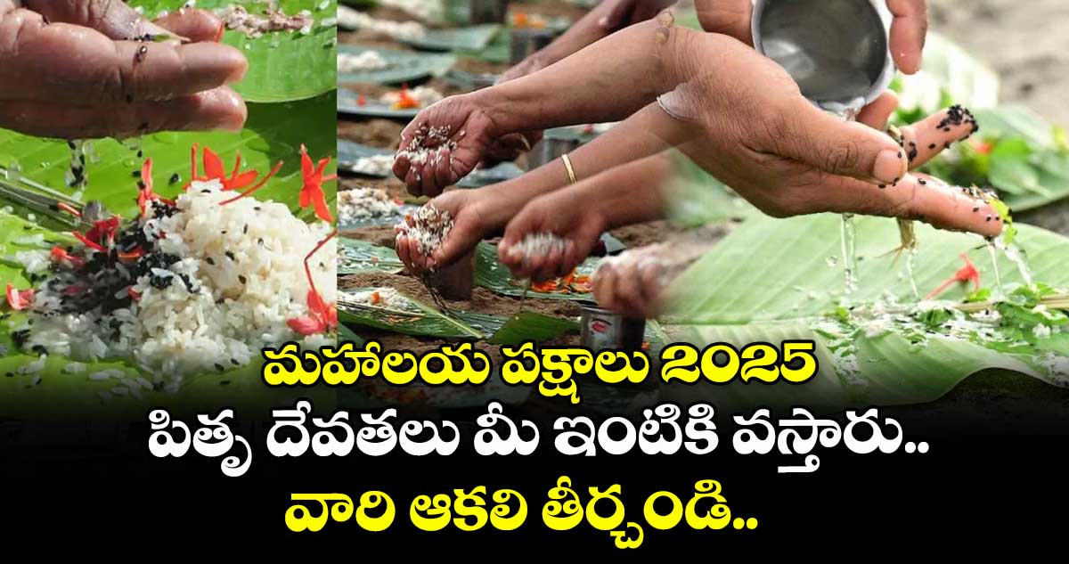 మహాలయ పక్షాలు 2025 : పితృ దేవతలు మీ ఇంటికి వస్తారు.. వారి ఆకలి తీర్చండి..