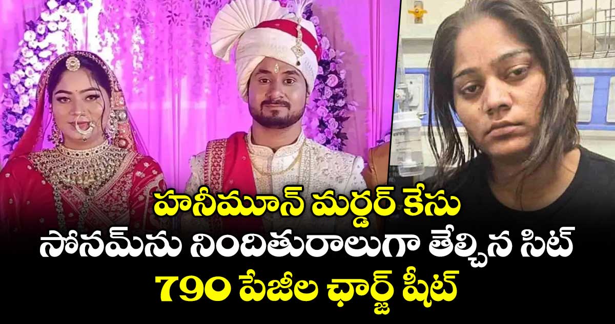 హనీమూన్ మర్డర్ కేసు: సోనమ్‌ను నిందితురాలుగా తేల్చిన సిట్.. 790 పేజీల ఛార్జ్ షీట్.. 