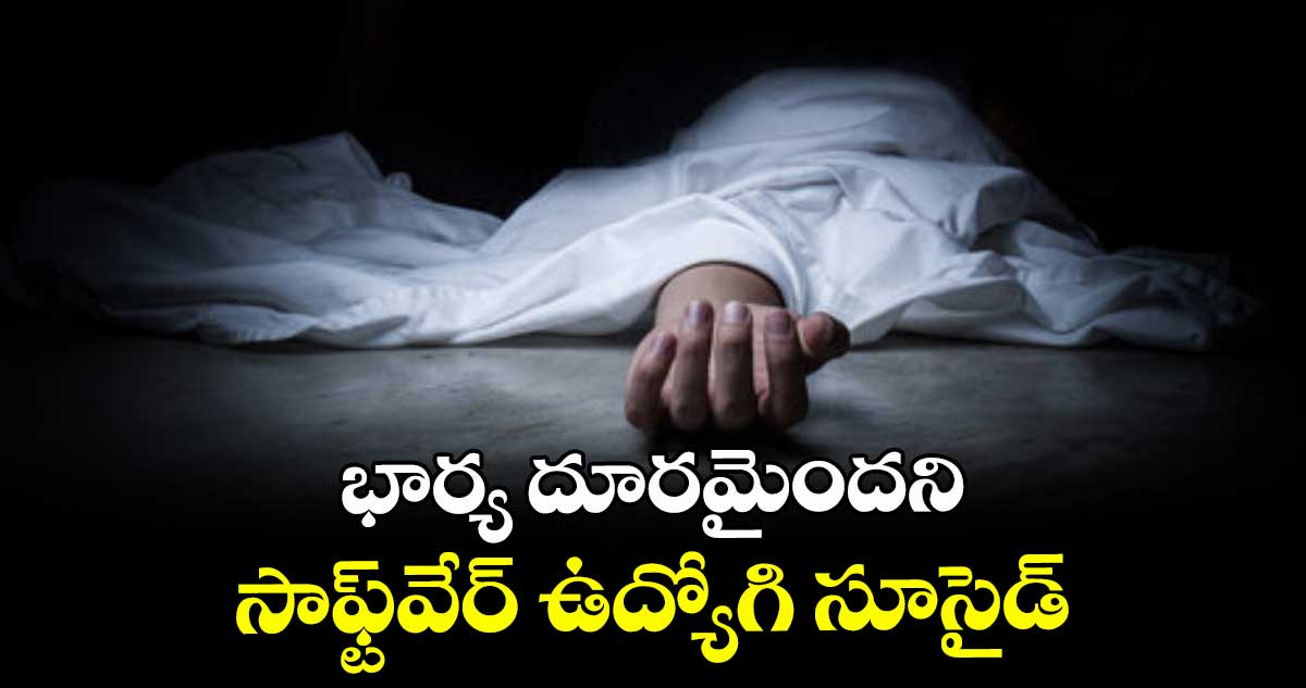 భార్య దూరమైందని సాఫ్ట్వేర్ ఉద్యోగి సూసైడ్